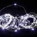Светодиодная нить Роса 10 м., 100 холодных белых LED ламп, прозрачный провод, Winner (w.01.4T.100-)