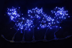 Гирлянда на дерево 5*20 м., 220V, 665 синих LED ламп, черный каучук, Winner Light (B.07.7B.665*5+)