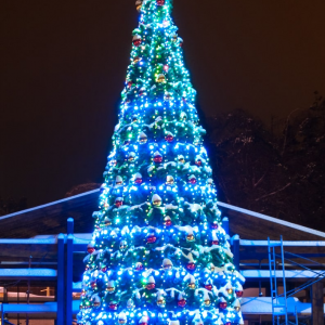 Комплект освещения Пояс Ориона для ели Уральская высотой 7 м., 5 ярусов, 70 ламп, Green Trees (Orion7)