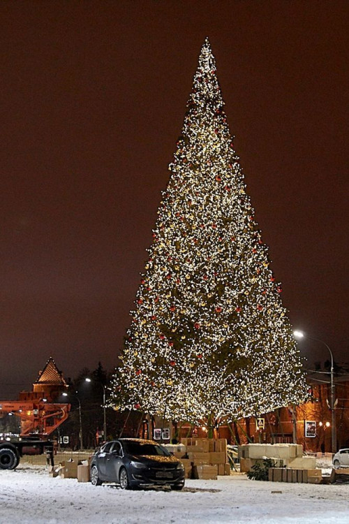 Уличная искусственная светодинамическая елка Альпийская зеленая 14 м., ствольная, ПВХ, Green Trees (GT14APVCLED) 