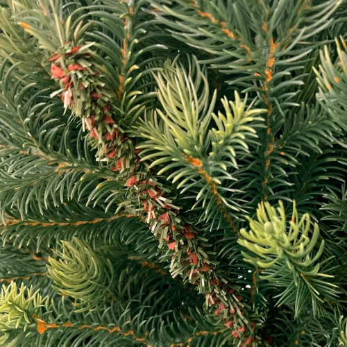 Ель Кремлевская Премиум 210 см., 100% литая хвоя, TreeDeLux (70137)