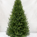 Ель Кремлевская Премиум 210 см., 100% литая хвоя, TreeDeLux (70137)