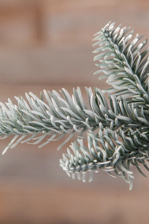 Елка Нормандия пушистая заснеженная 185 см., литая хвоя, Triumph Tree (72085)