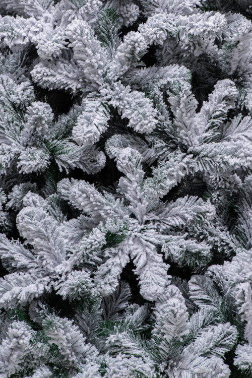 Искусственная елка Эверест заснеженная 350 см., мягкая хвоя, ЕлкиТорг (132350) 