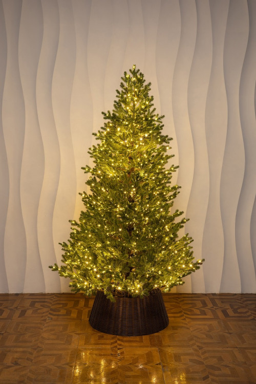 Искусственная елка Измайловская 210 см., 100% литая хвоя, 1500 мульти LED ламп, 10 режимов, Елкиторг (57210)