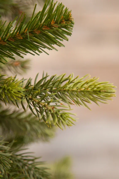 Елка Уэльская 155 см., литая хвоя+пвх, Triumph Tree (73554)