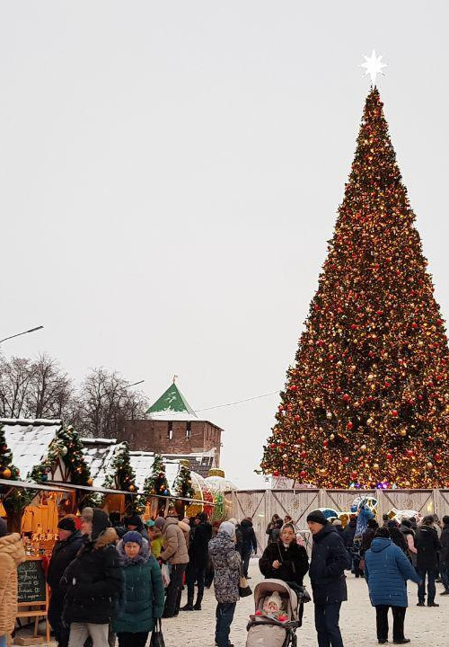 Уличная искусственная светодинамическая елка Альпийская зеленая 18 м., ствольная, ПВХ, Green Trees (GT18APVCLED) 