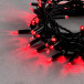 Светодиодная гирлянда с колпачком 100 красных LED ламп 10 м., 24В., черный провод ПВХ, IP65, LTC (PST100CAP-11-1R) в Санкт-Петербурге
