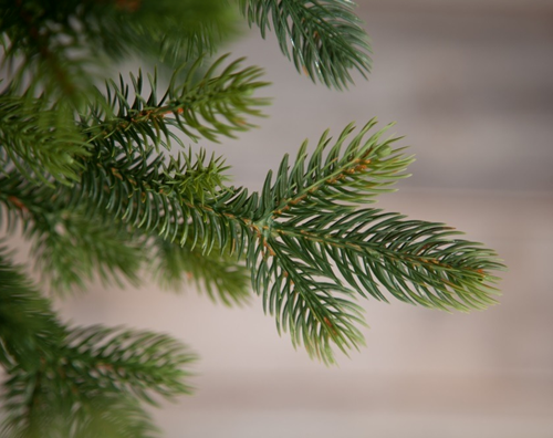 Ель Городская стройная, 155 см, 140 теплых белых LED ламп, 100% литая хвоя Black Box (74680)