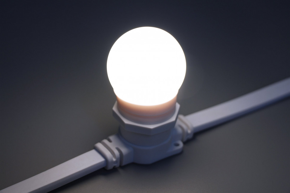 Светодиодная лампа для Белт-лайта холодная белая, 45 мм., 2Вт, Е27, 24В, Teamprof (TPF-B-E27-G45-24V-2W-W) в Белгороде