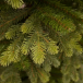 Елка Уэльская 215 см., литая хвоя+пвх, Triumph Tree (73556)