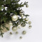 Набор пластиковых шаров Гамма 46 шт., шампань, ChristmasDeLuxe (84711-88048)