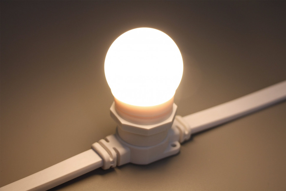 Светодиодная лампа для Белт-лайта теплая белая, 45 мм., 2Вт, Е27, 24В, Teamprof (TPF-B-E27-G45-24V-2W-WW) в Белгороде