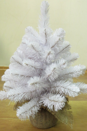 Ель Атлантическая в мешочке 60 см., мягкая хвоя, Triumph Tree (73301)