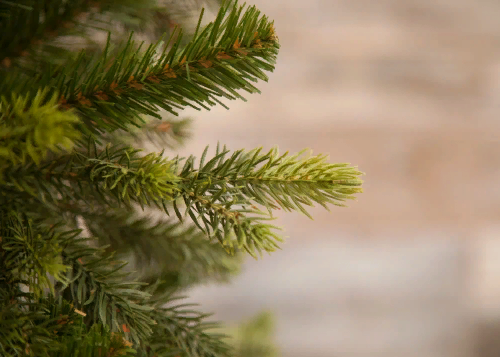 Елка Уэльская 260 см., литая хвоя+пвх, Triumph Tree (73558)