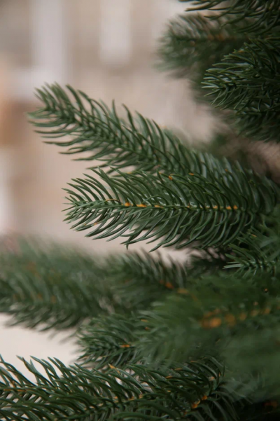 Ель Швейцарская стройная 155 см., 140 теплых белых LED ламп, 100% литая хвоя, Black Box (74676)