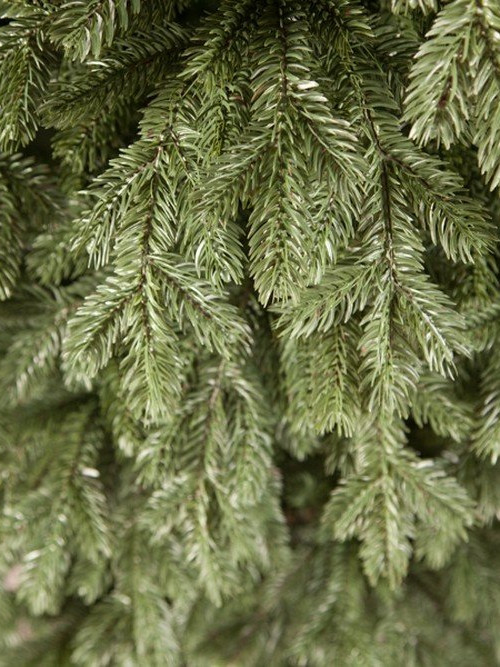 Елка Царская 185 см., литая хвоя+пвх, Triumph Tree (73640)