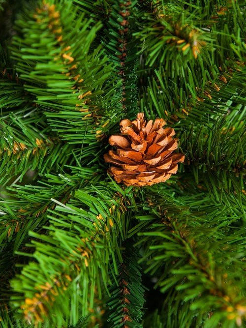 Елка Императрица с шишками 155 см., мягкая хвоя, Triumph Tree (73237) в Санкт-Петербурге