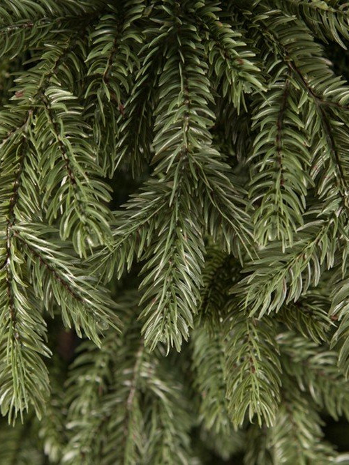 Елка Царская 215 см., литая хвоя+пвх, Triumph Tree (73641) в Санкт-Петербурге