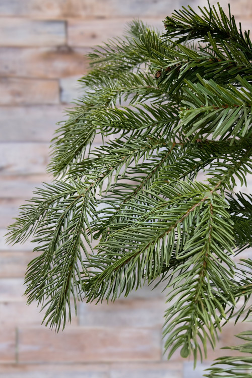 Ель Дворянская 260 см., Литая хвоя+ПВХ, Black Box (74554)