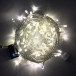 Светодиодная нить с мерцанием 10 м., 220V, 100 теплых белых LED ламп, прозрачный ПВХ провод, Rich LED (RL-S10CF-220V-T/WW) в Санкт-Петербурге