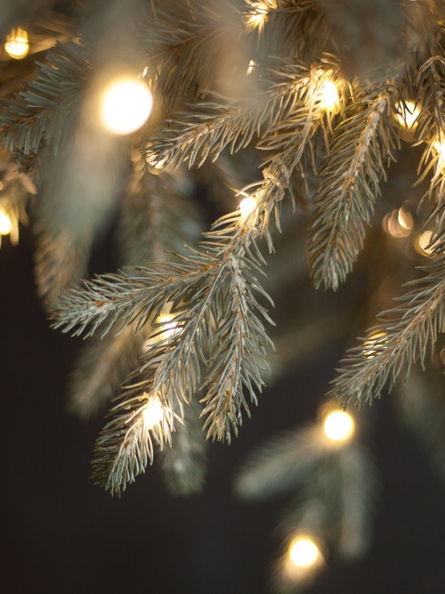 Ель Леара 185 см., 700 LED ламп, Литая хвоя+ПВХ, серебристая, Black Box (74451)