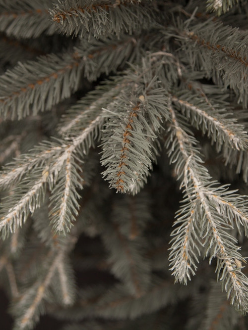 Ель Леара 185 см., 700 LED ламп, Литая хвоя+ПВХ, серебристая, Black Box (74451)