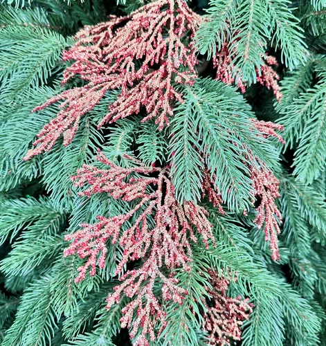 Ветвь кипарис Королевский красный 84 см., 1 шт., Christmas DeLuxe (86728) 