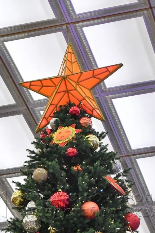 Макушка Рубиновая 140 см. для елей высотой от 10 до 20 м., красная, Green Trees (rubin-140red)