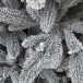 Искусственная елка Хеймдалль заснеженная 150 см., 100% литая хвоя, с холодными белыми Led лампами, ЕлкиТорг (236150)