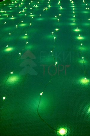 Светодиодный занавес Роса 1.6*1.6 м., 256 зеленых LED ламп, прозрачный провод, Beauty Led (Curtain 256-10-G)