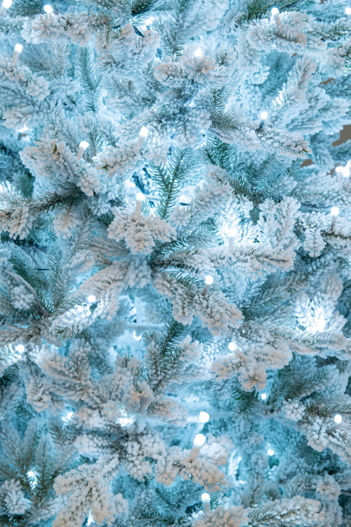 Искусственная елка Алтайская заснеженная 180 см., 330 холодных-белых Led ламп, 100% литая хвоя, ЕлкиТорг (177180) в Санкт-Петербурге