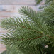 Ель Дворянская 215 см., 100% Литая хвоя, Black Box (74557)