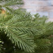 Ель Дворянская 215 см., 100% Литая хвоя, Black Box (74557)