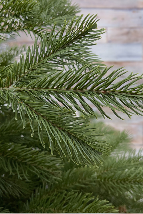 Ель Дворянская 230 см., 100% Литая хвоя, Black Box (74558)