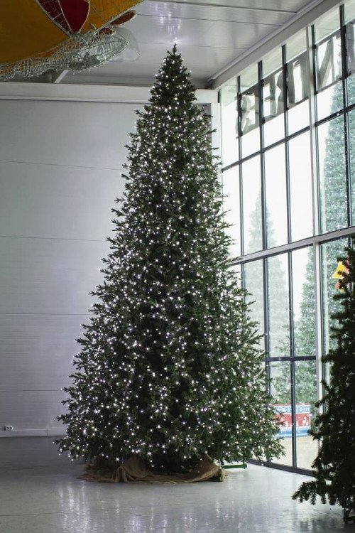 Интерьерная светодинамическая искусственная елка Сказочная Премиум 3,5 м., ствольная, Литая хвоя+ПВХ, Green Trees (GT3,5SKLED)