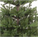 Искусственная ель Лесная Империал 213 см., литая хвоя + пвх, National Tree Company (31HPEIS70)