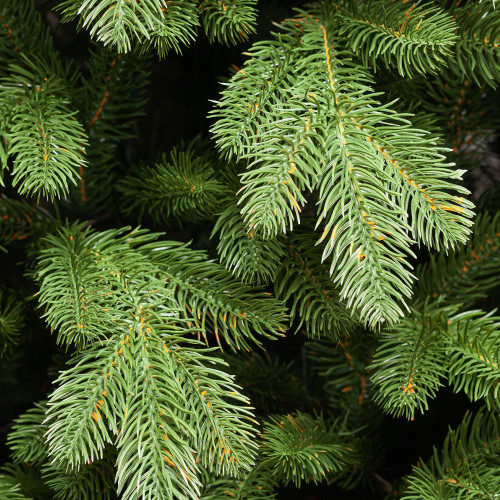 Искусственная елка Царская Де Люкс 60 см., 100% литая хвоя, ЕлкиТорг (127060)