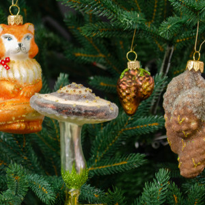 Набор Лесной, 4 шт., в подарочной упаковке, Витус (6418)