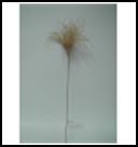 Ветвь Клевер Королевский 56 см., серо-коричневый, 1 шт., Christmas DeLuxe (89087)