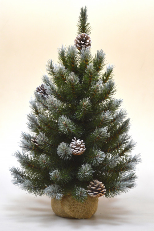 Ель Женева заснеженная с шишками 90 см., леска, Triumph Tree (72064)