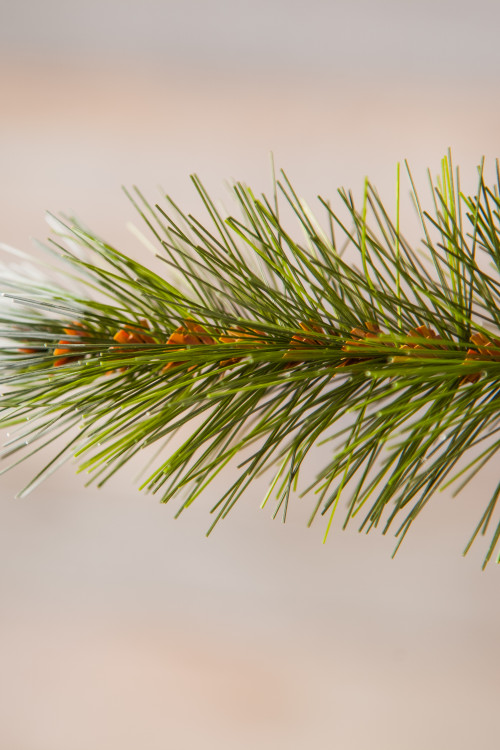 Ель Женева заснеженная с шишками 90 см., леска, Triumph Tree (72064)