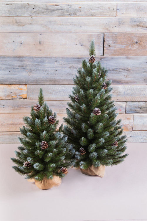 Ель Женева заснеженная с шишками 90 см., леска, Triumph Tree (72064)