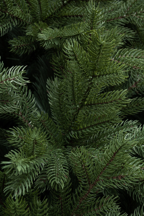 Искусственная ель Адмиралтейская 5 м., Литая хвоя + ПВХ, ЕлкиТорг (200500)