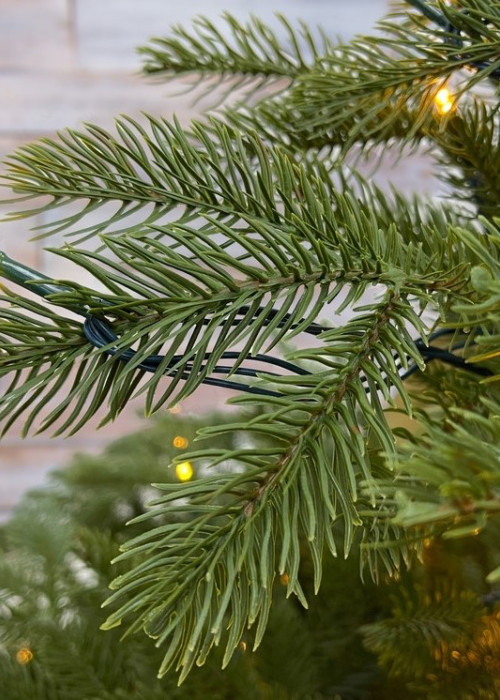 Ель Дворянская 230 см., 504 LED лампы, 100% Литая хвоя, Black Box (74563)