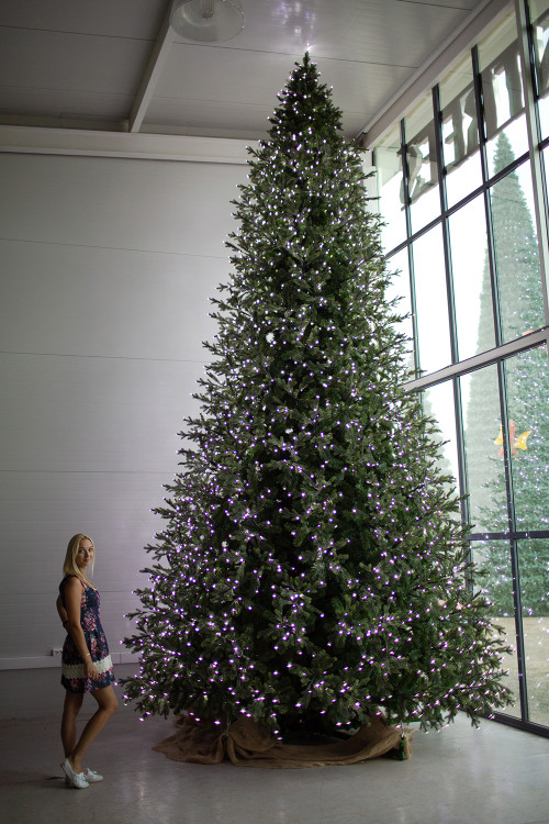 Интерьерная светодинамическая искусственная елка Сказочная Премиум 4,5 м., ствольная, Литая хвоя+ПВХ, Green Trees (GT4,5SKLED)