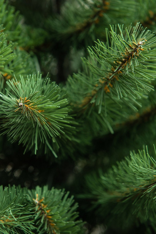 Искусственная елка Дивная 150 см., мягкая хвоя, ЕлкиТорг (13150)