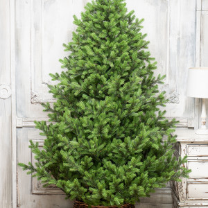 Искусственная елка Торжественная 300 см., 100% литая хвоя, ЕлкиТорг (167300)