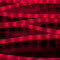 Дюралайт светодиодный 2-х проводной, диаметр 13 мм., 220В, красные LED лампы 36 шт на 1 м., бухта 100 м., матовый, статика, Teamprof (TPF-DL-2WHM-100-240-R)