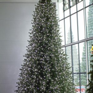Интерьерная светодинамическая искусственная елка Сказочная Премиум 6,5 м., ствольная, Литая хвоя+ПВХ, Green Trees (GT6,5SKLED)